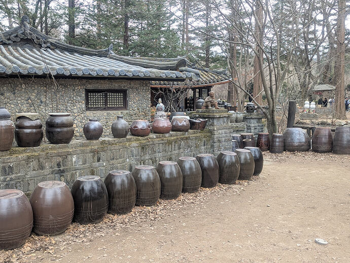 PXL_20260301_070033719