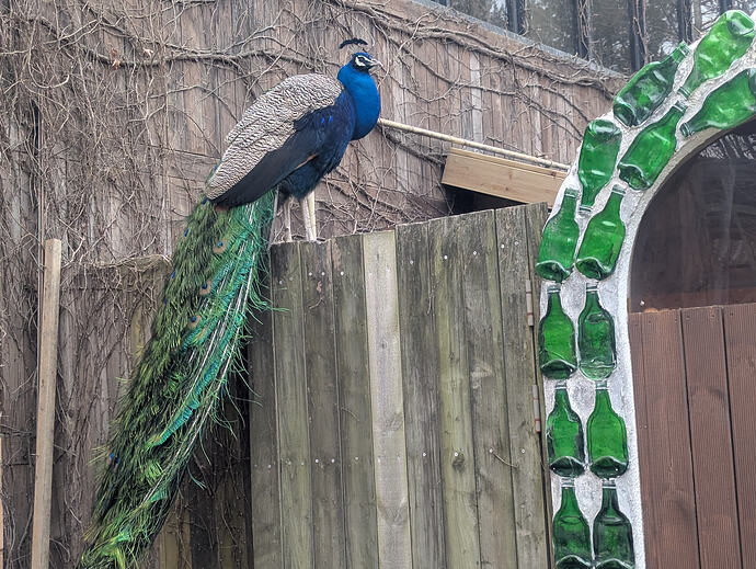 PXL_20260301_065837138