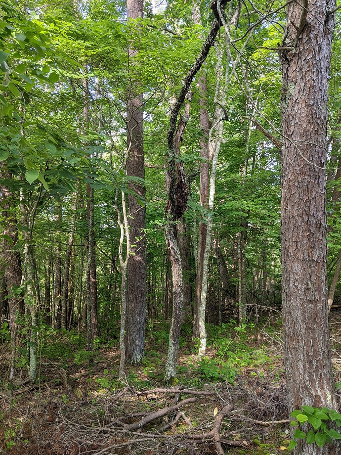 PXL_20250621_133920767