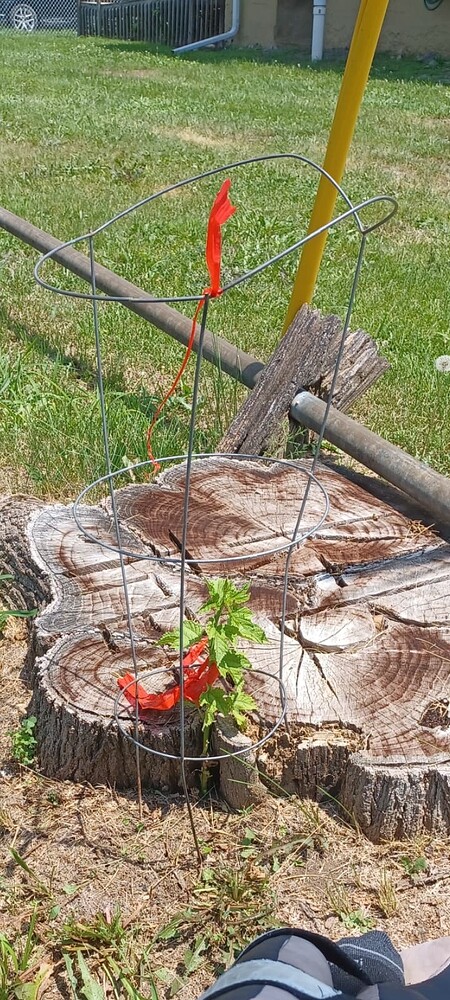 Screenshot_20250710_145140_Gallery