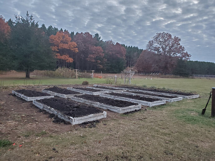 20221027_175309_1000001756