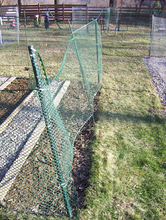 early deer fence (8)