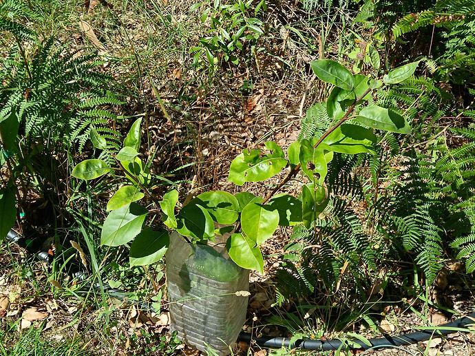 IMG_20260716_110846