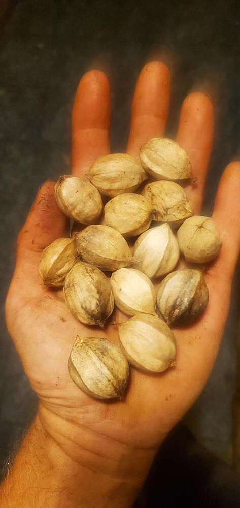 signal-2025-09-24-22-03-54-471