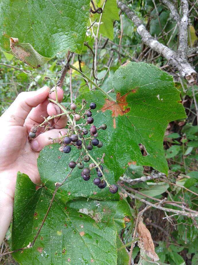 20190823_1658274218698934611387877