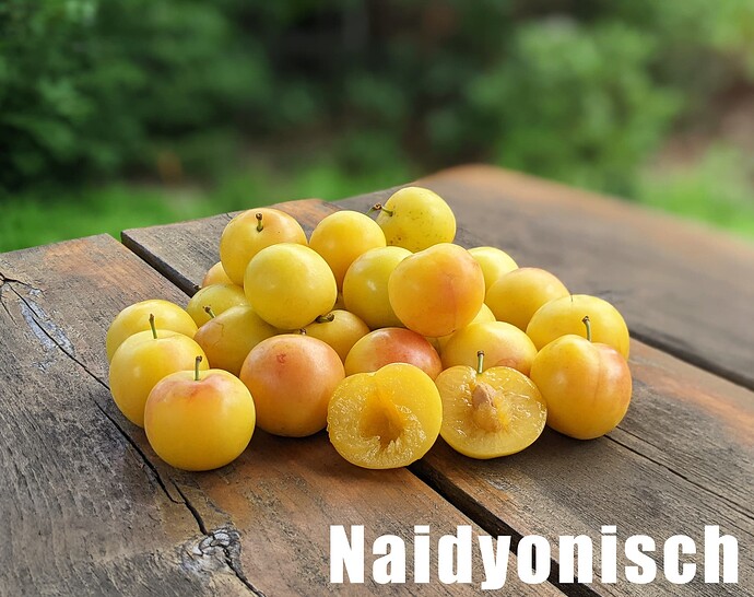Naidyonisch_2025