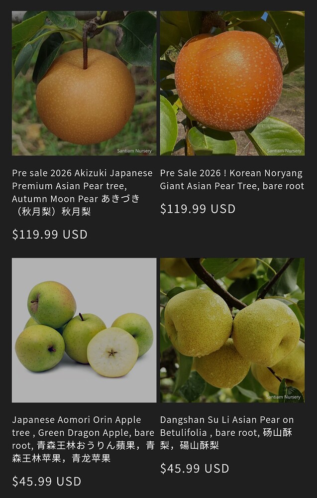 Screenshot_20250826_032751_Samsung Internet