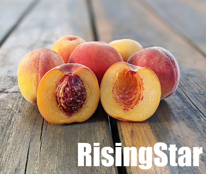 RisingStar_2025