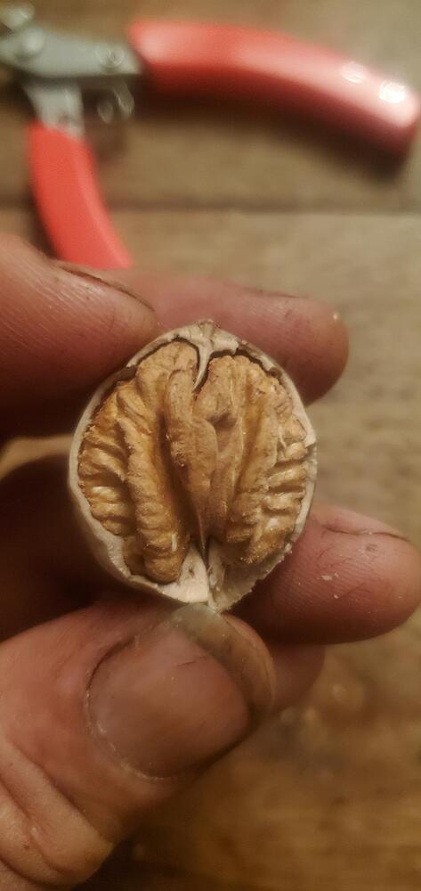 signal-2025-09-24-22-03-49-840