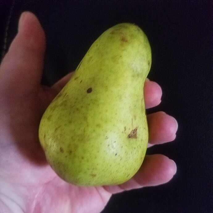 8a901d4325f3d7622e7c5d81ae28d486c77fd34c_2_1380x1380