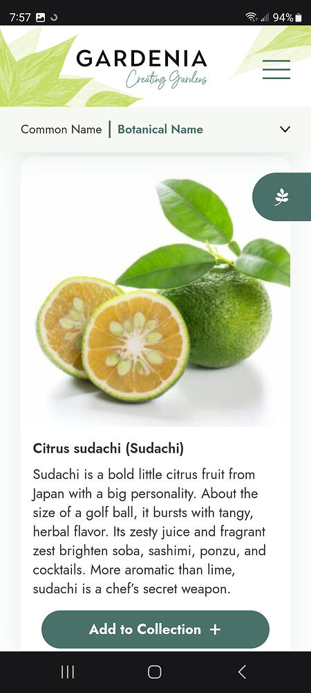 Screenshot_20260620_075715_Samsung Browser