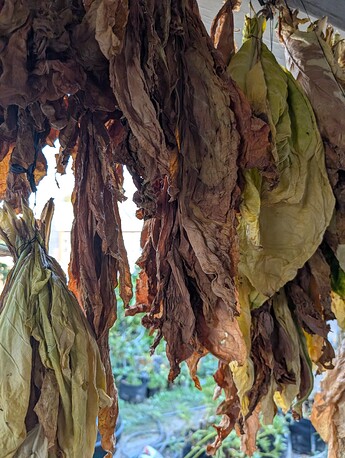 PXL_20250911_192421173