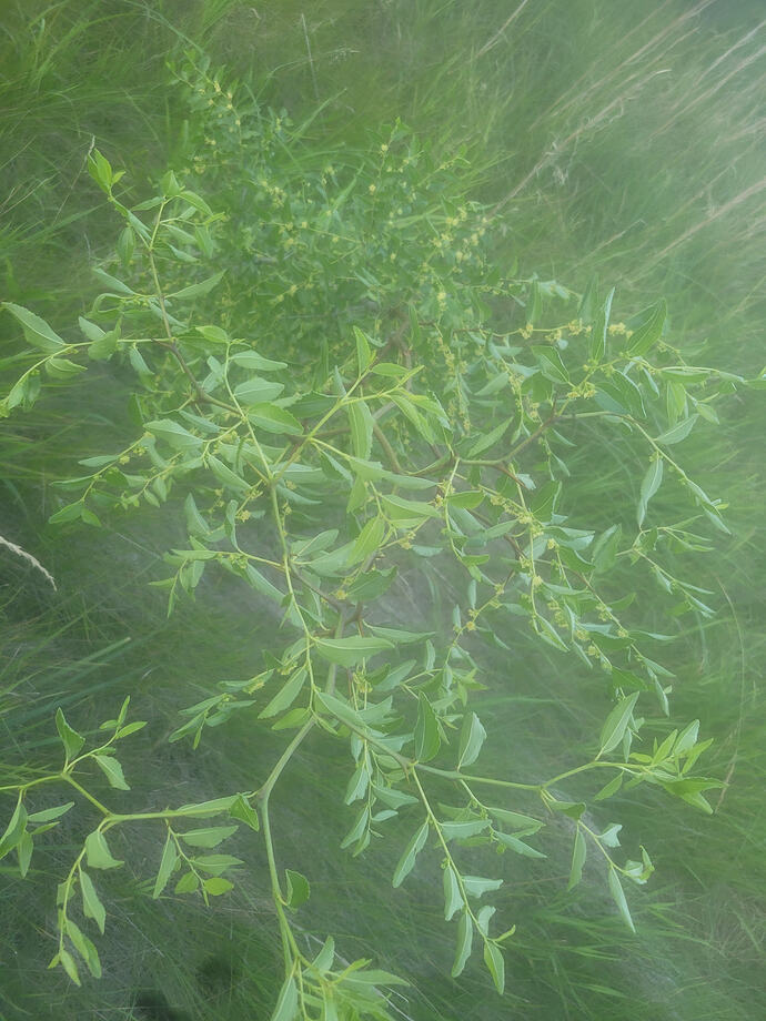 20260614_203014