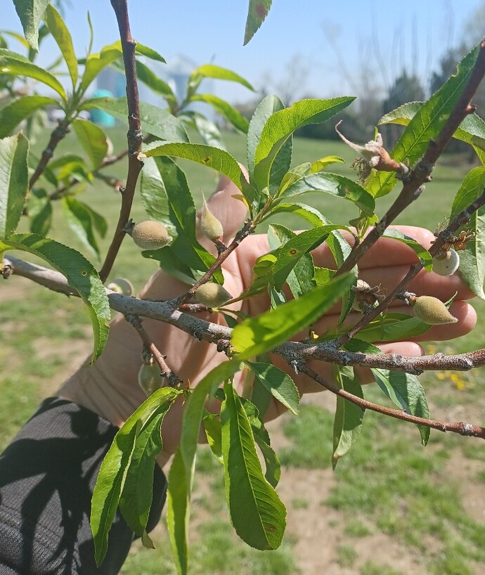 Screenshot_20260408_230448_Gallery