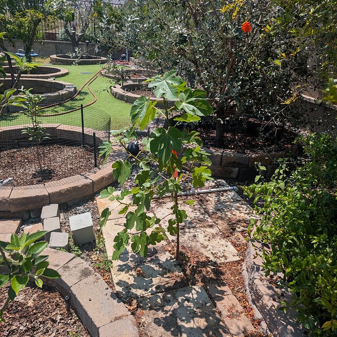 PXL_20250703_205858590