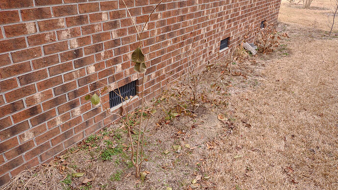 IMG_20260211_132912916