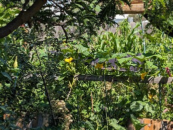 PXL_20250730_174546634