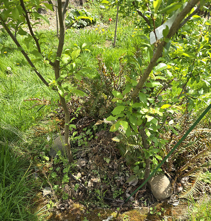 20260410_141759_edit_1775861039422-1