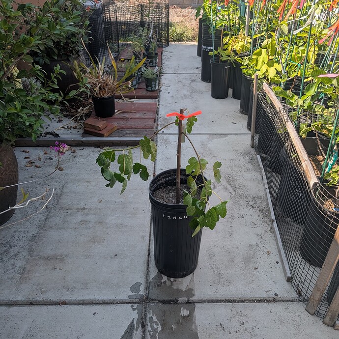 PXL_20250704_224846507