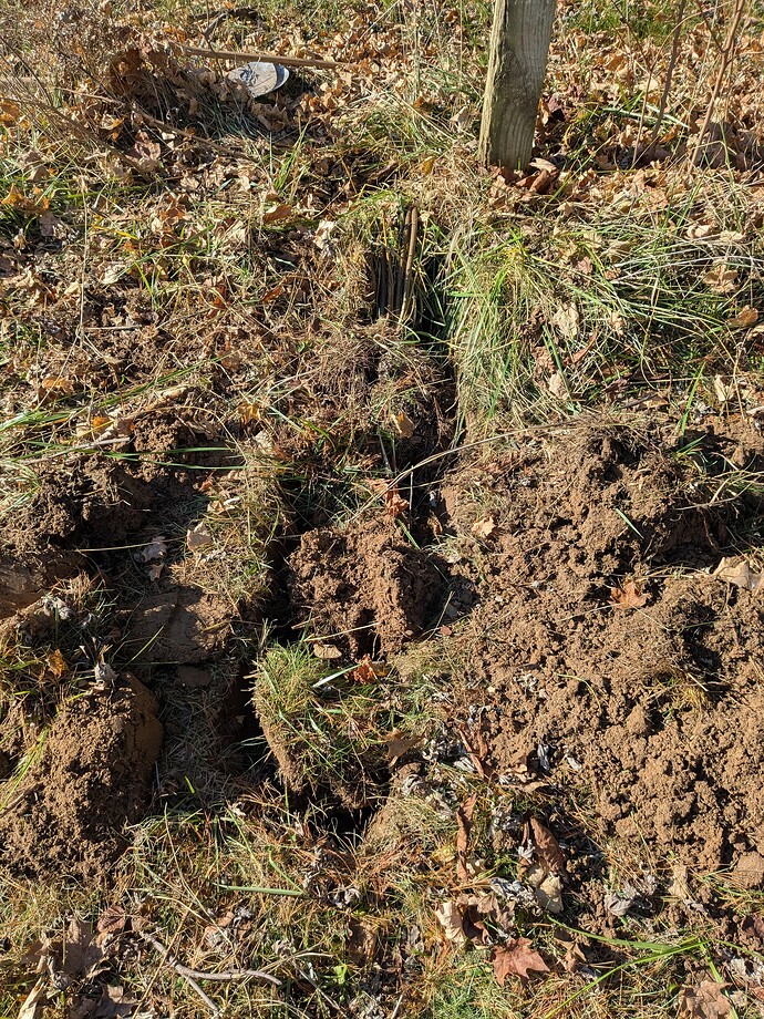 PXL_20251128_170416347