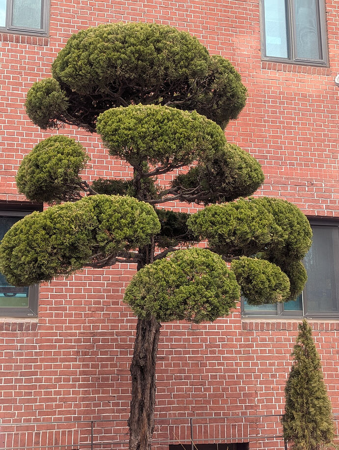 PXL_20260227_044151411