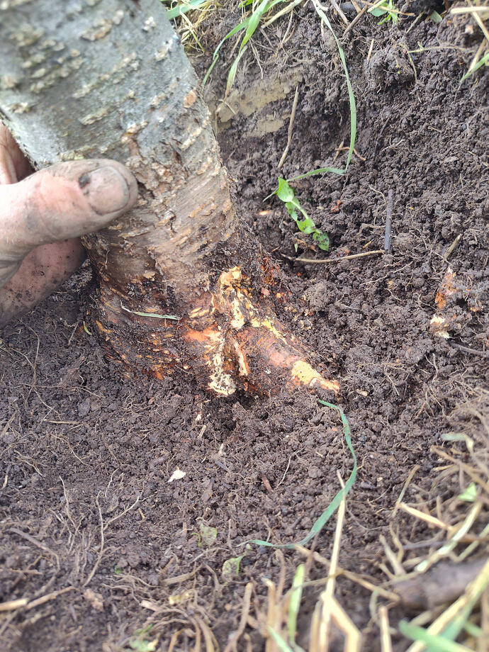 IMG_20260402_153147523_HDR