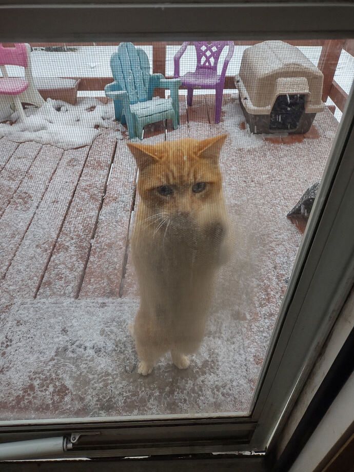 IMG_20260203_172806406_HDR