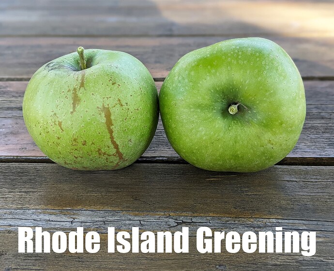 Rhode Island Greening_2025