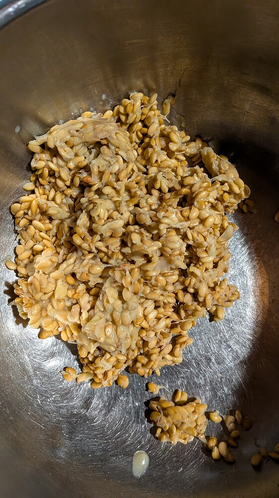 Seed Yield from Plant B