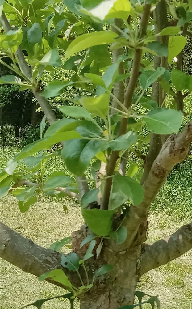 Screenshot_20250717_190601