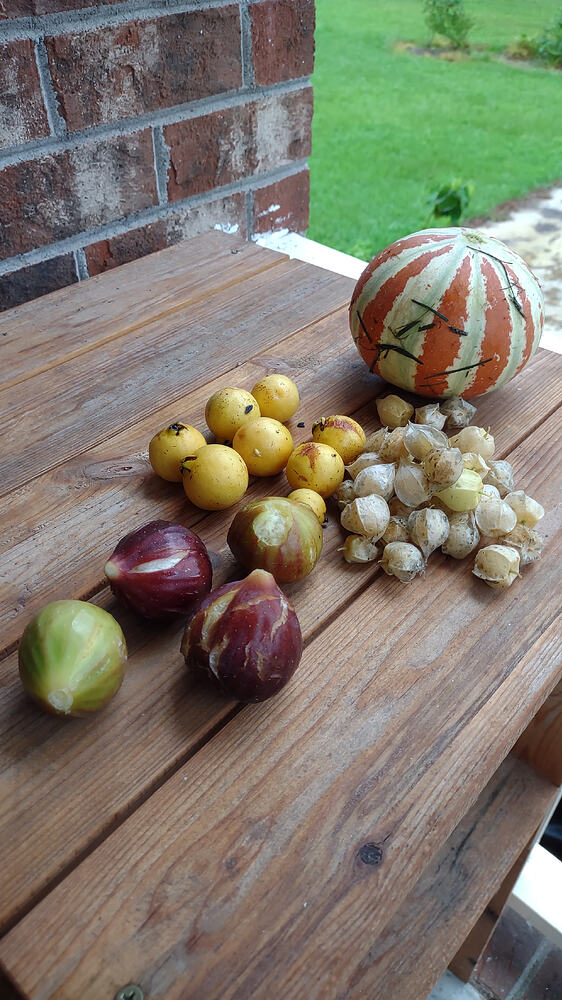 IMG_20250811_171649424