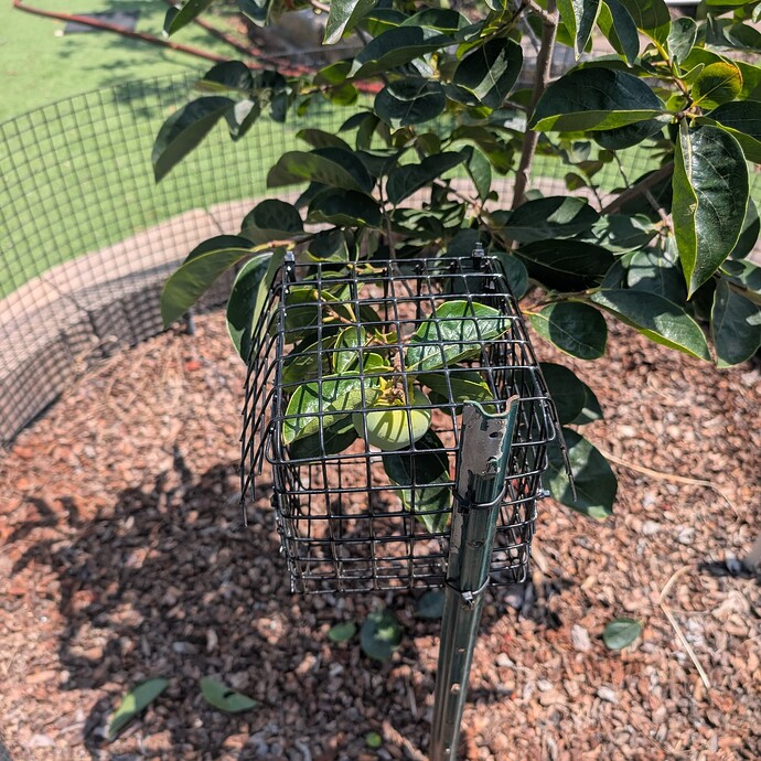 PXL_20250720_212126039