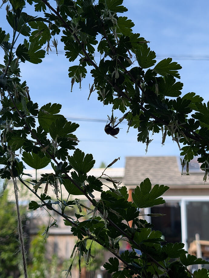 PXL_20260501_222330883