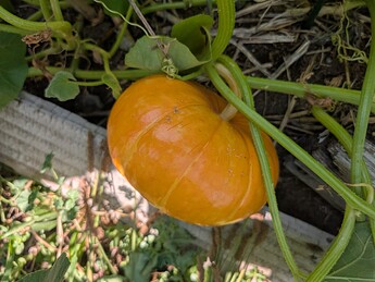 PXL_20250724_213230466