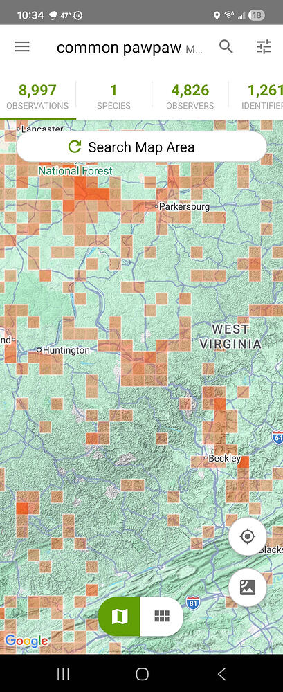 Screenshot_20260314_223430_iNaturalist