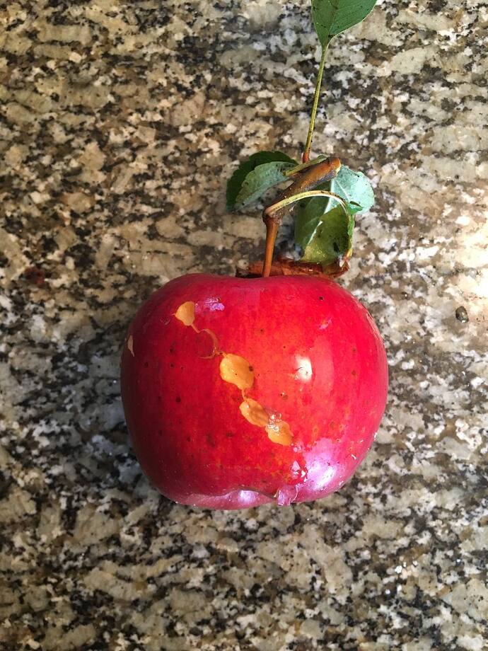 IMAGE 2025-10-26 20:38:58