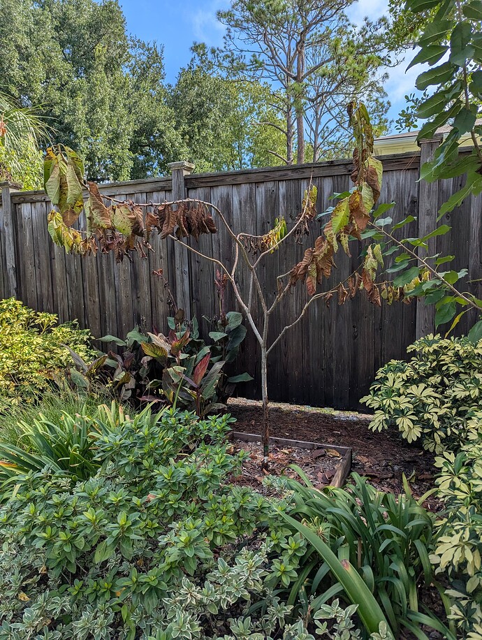 PXL_20250824_142602922