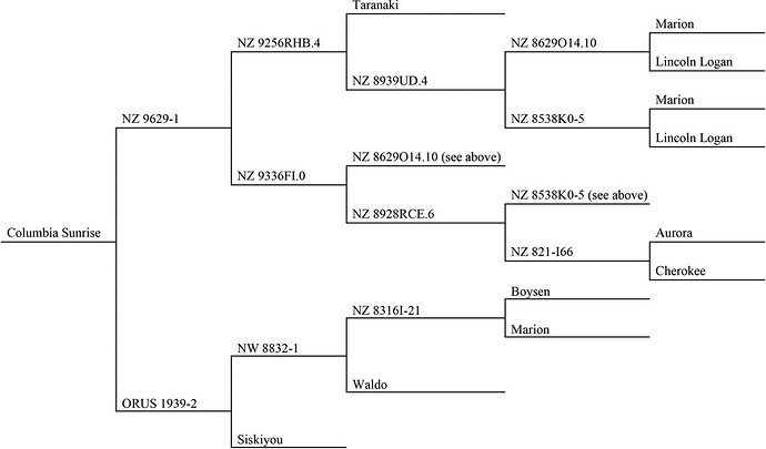 HortSci_pedigree.Columbia_Sunrise