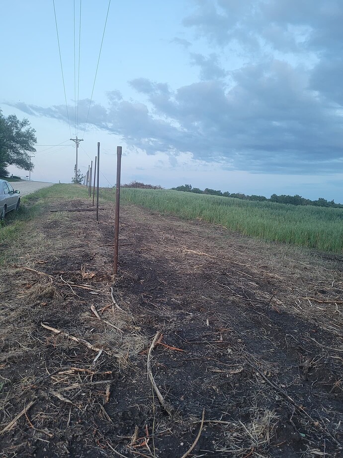 f63412be7c5a01a20f38442a6030ef565053b71f_2_1380x1840