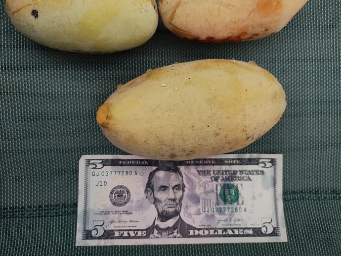 IMG_20250818_110608142