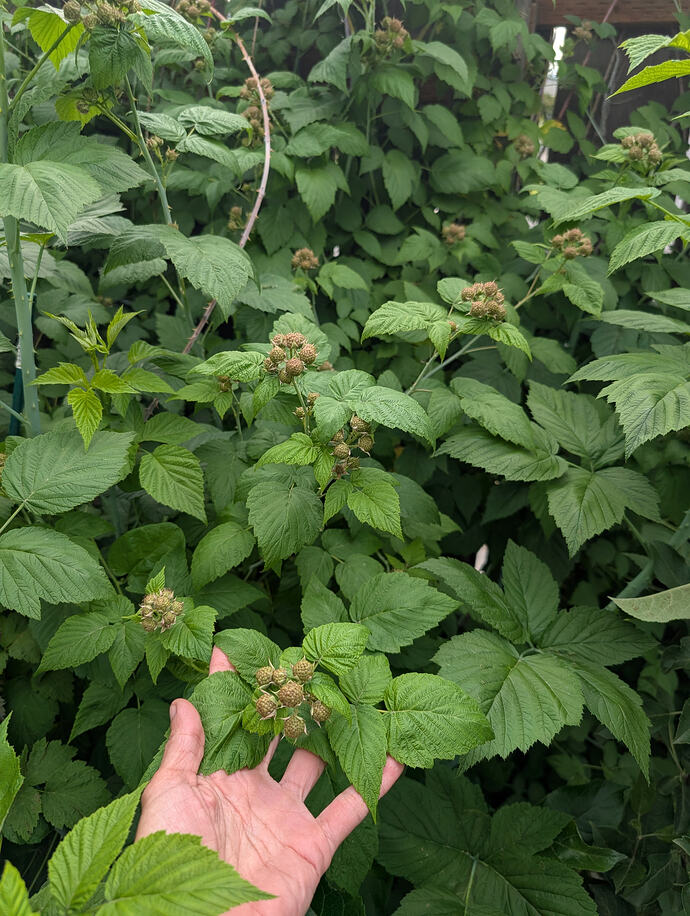 PXL_20260610_233511692