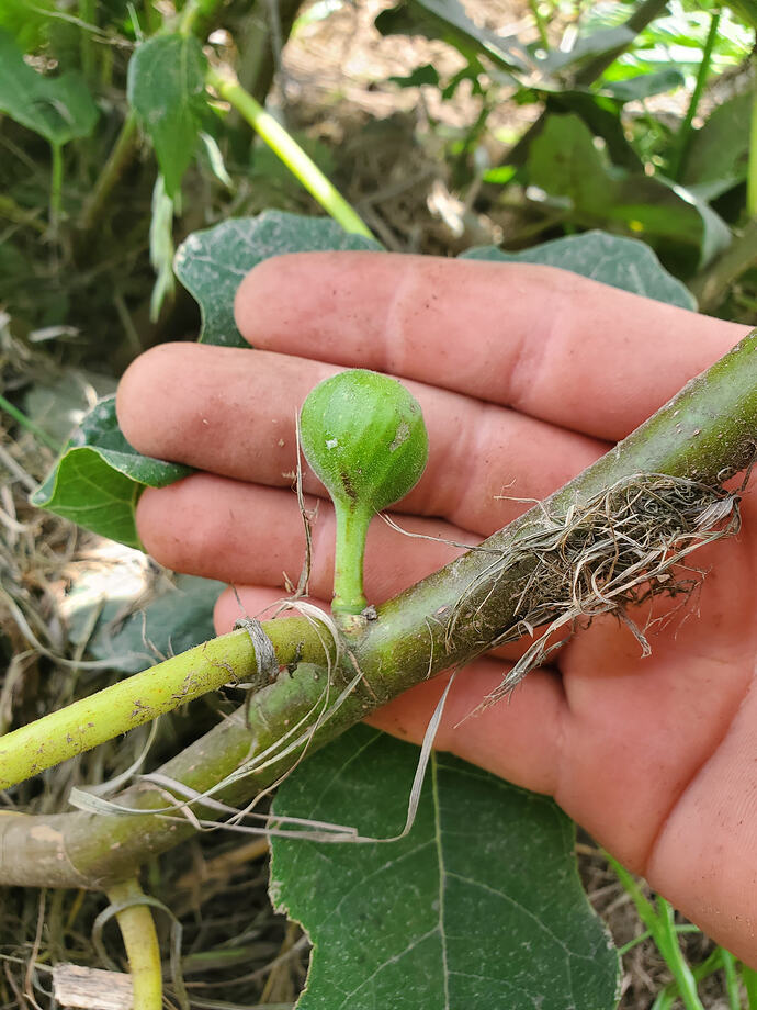 20260629_144933