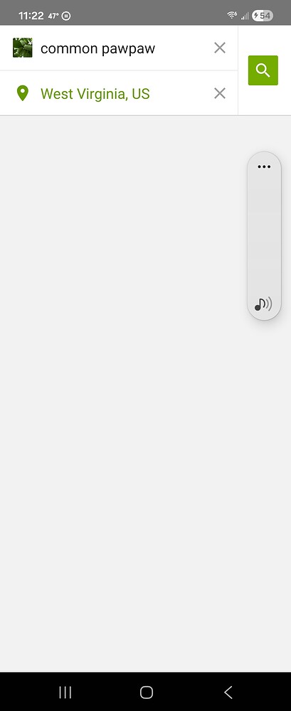 Screenshot_20260314_232219_iNaturalist
