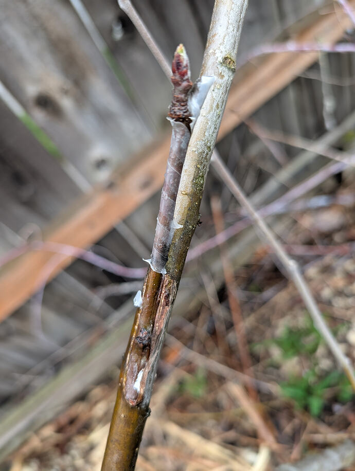 PXL_20260324_175647828