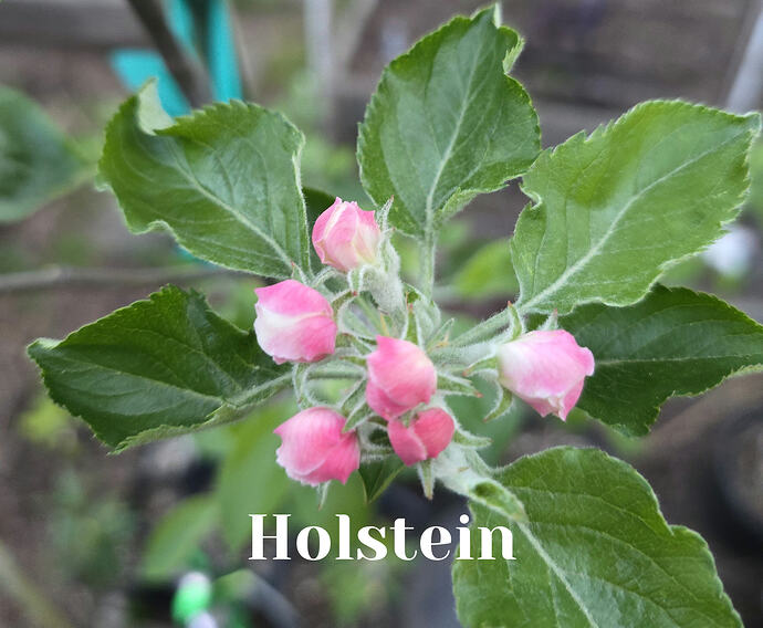 20260408_064325_edit_1775657056749-1