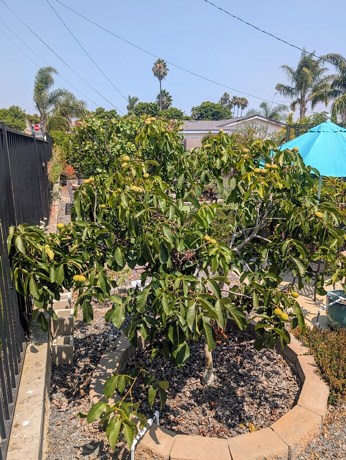 PXL_20250813_191237008~2