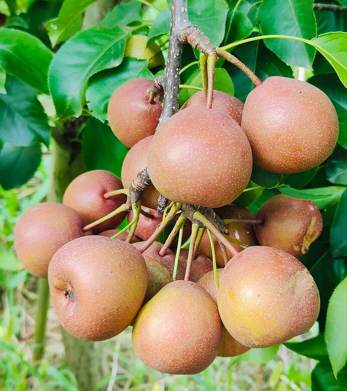 FB_IMG_1754250773472