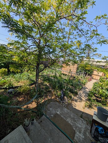 PXL_20250616_204906033