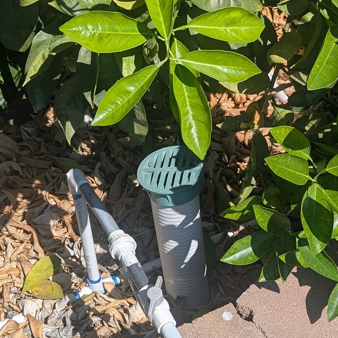 PXL_20250825_213821886