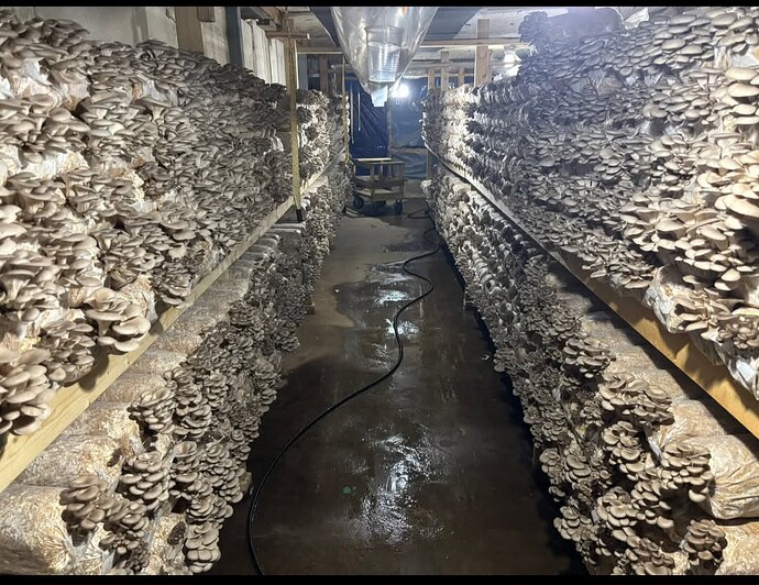 Screenshot_20251201_192618_Facebook